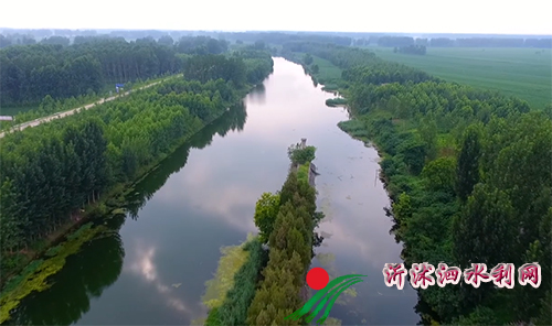 我局管理范围内的京杭运河两岸绿化植被繁茂，郁郁葱葱.jpg